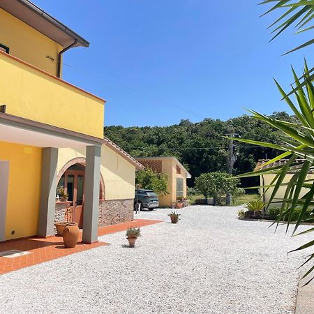 Il Leccio Agriturismo Fiorino Εξωτερικό φωτογραφία