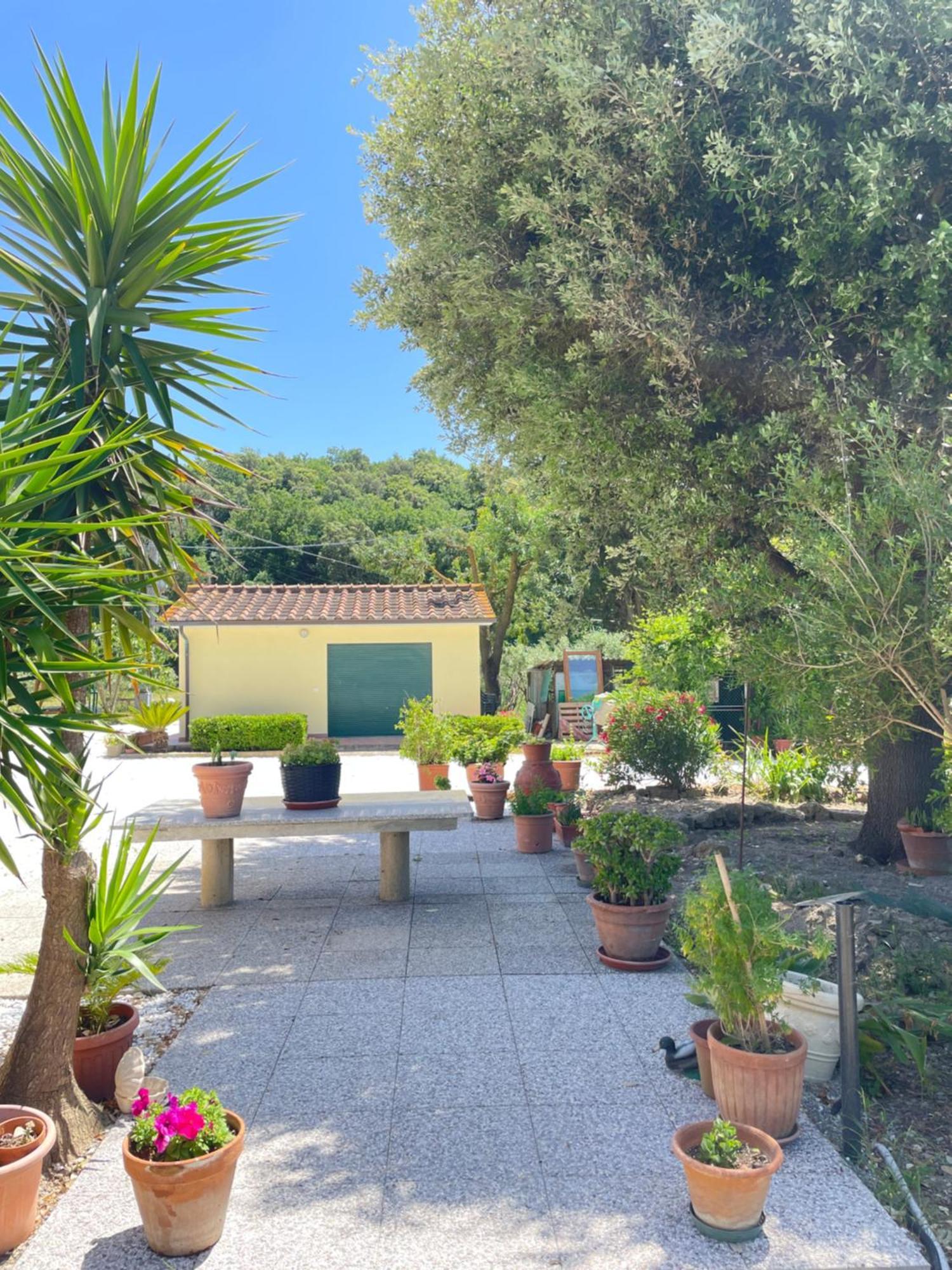 Il Leccio Agriturismo Fiorino Εξωτερικό φωτογραφία