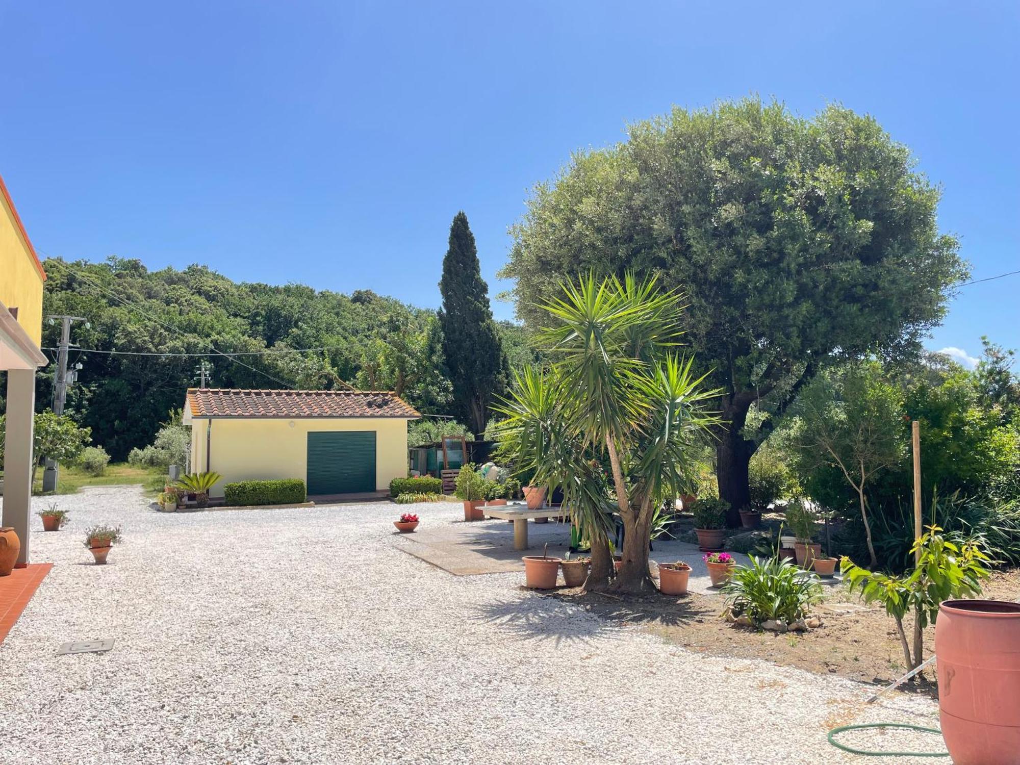 Il Leccio Agriturismo Fiorino Εξωτερικό φωτογραφία