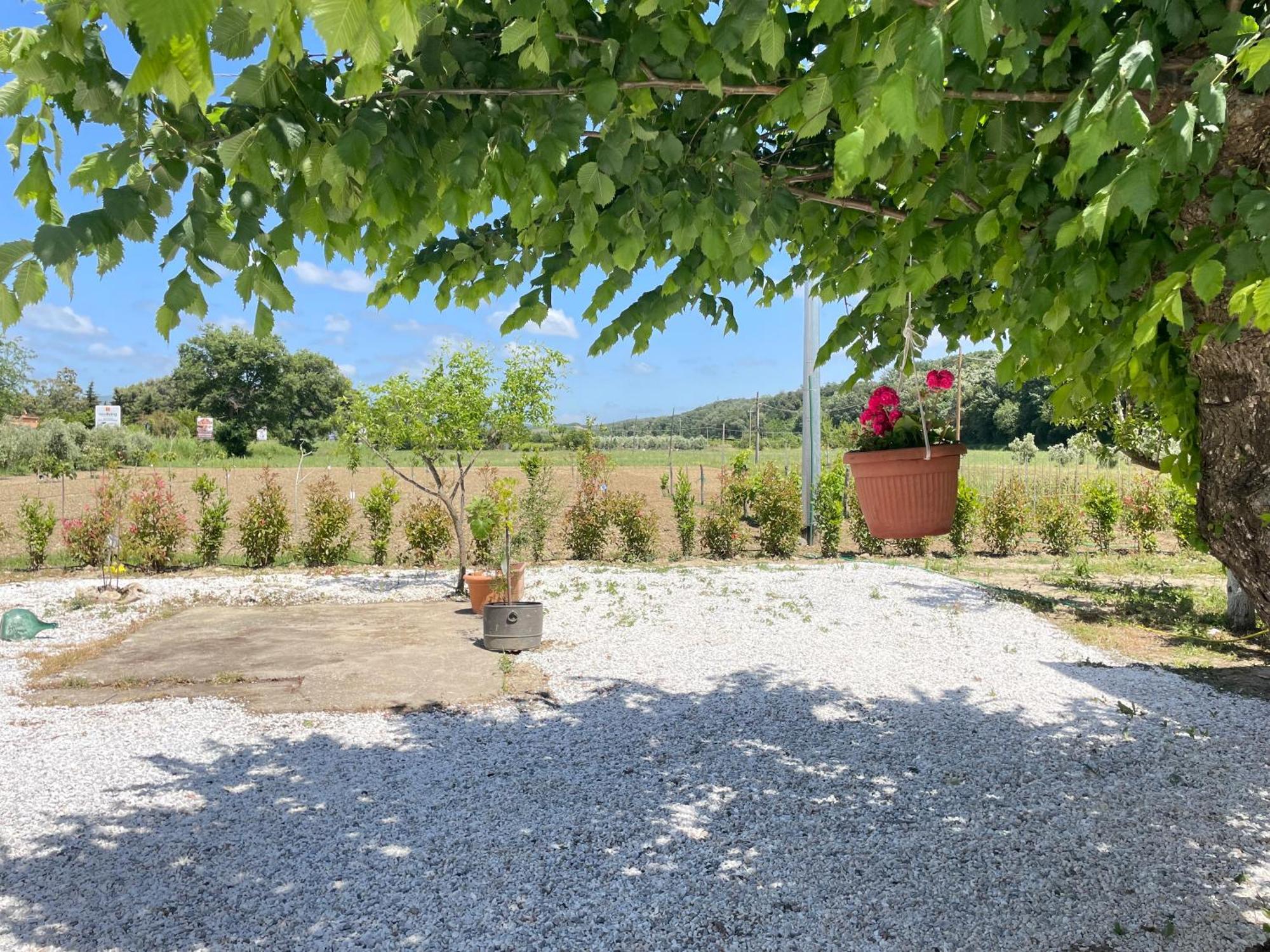 Il Leccio Agriturismo Fiorino Εξωτερικό φωτογραφία