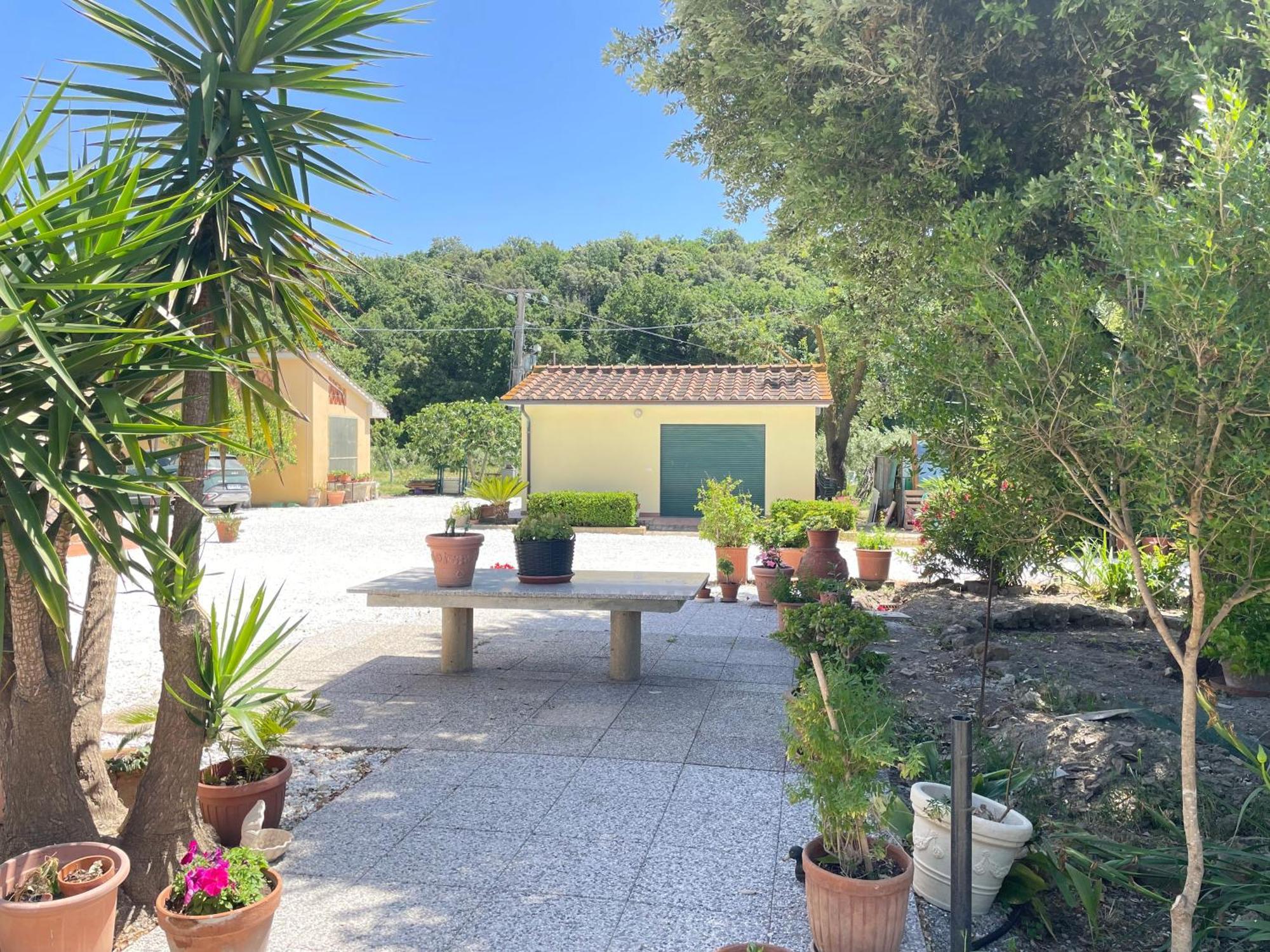 Il Leccio Agriturismo Fiorino Εξωτερικό φωτογραφία