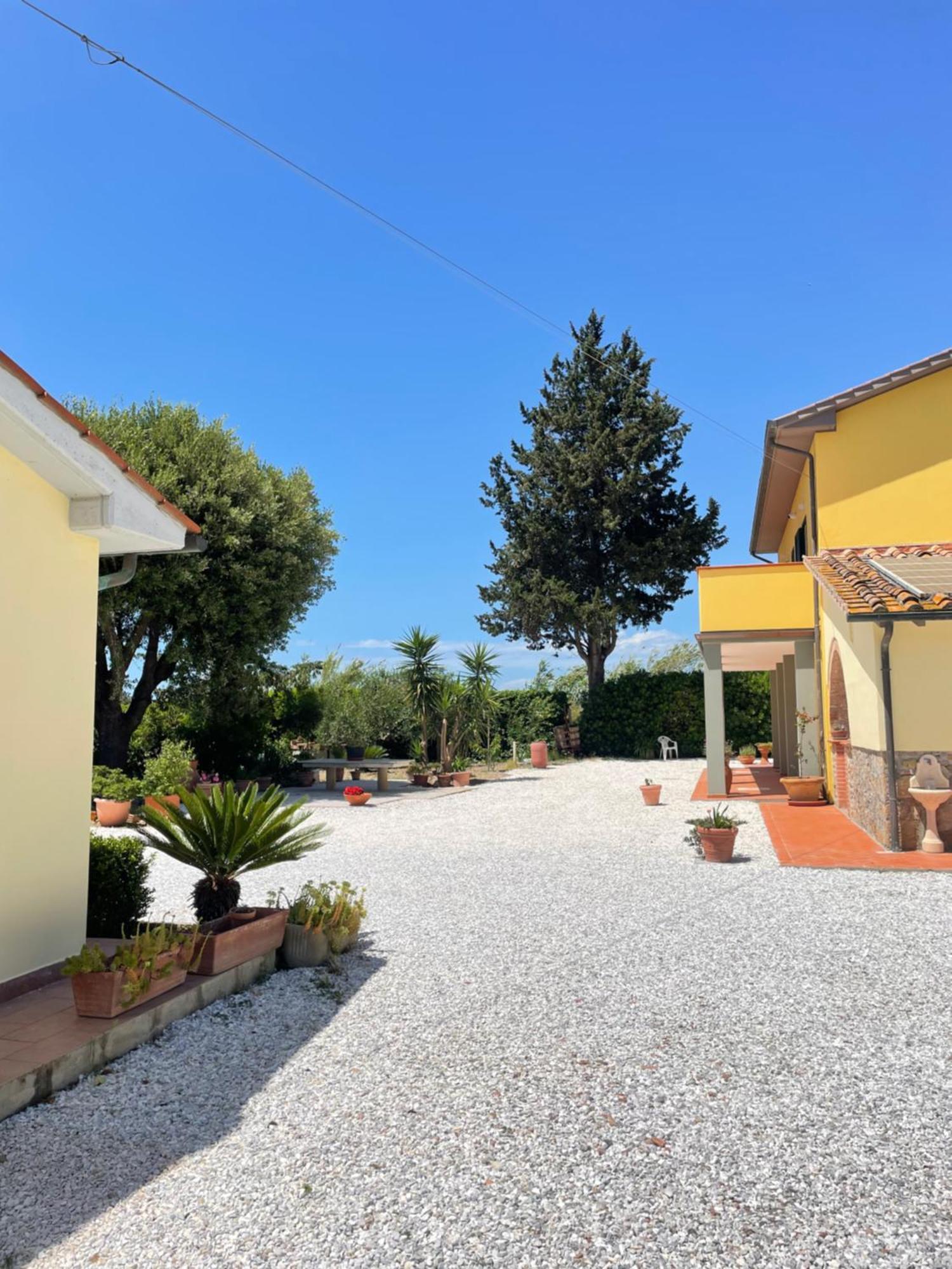 Il Leccio Agriturismo Fiorino Εξωτερικό φωτογραφία