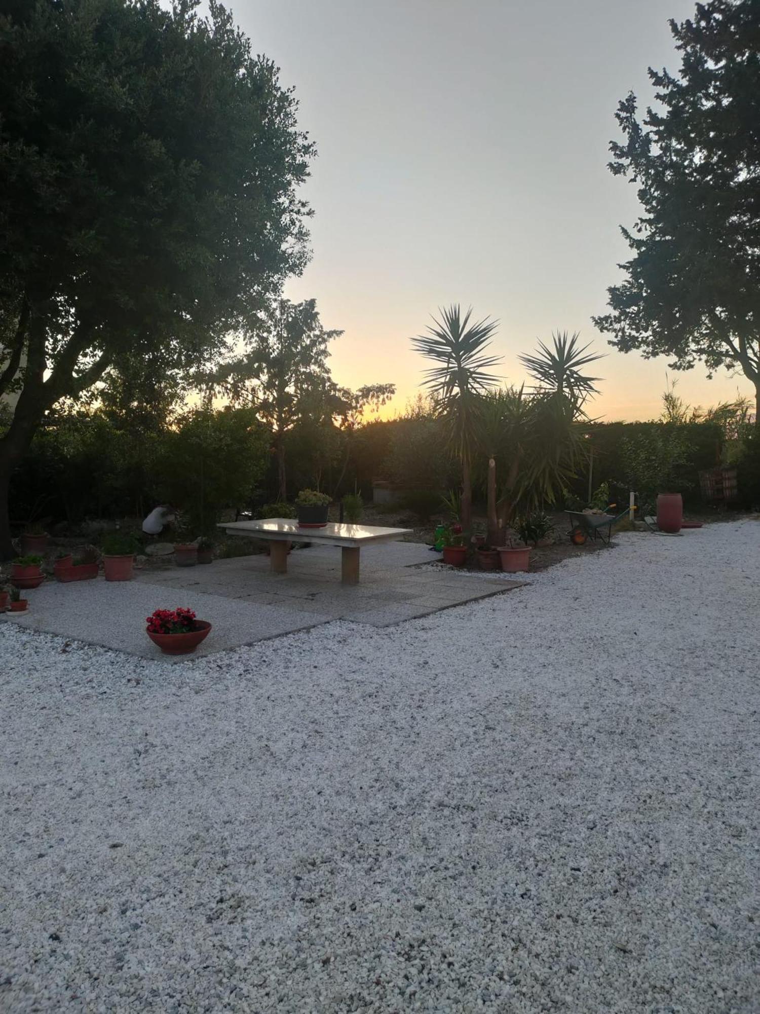 Il Leccio Agriturismo Fiorino Εξωτερικό φωτογραφία