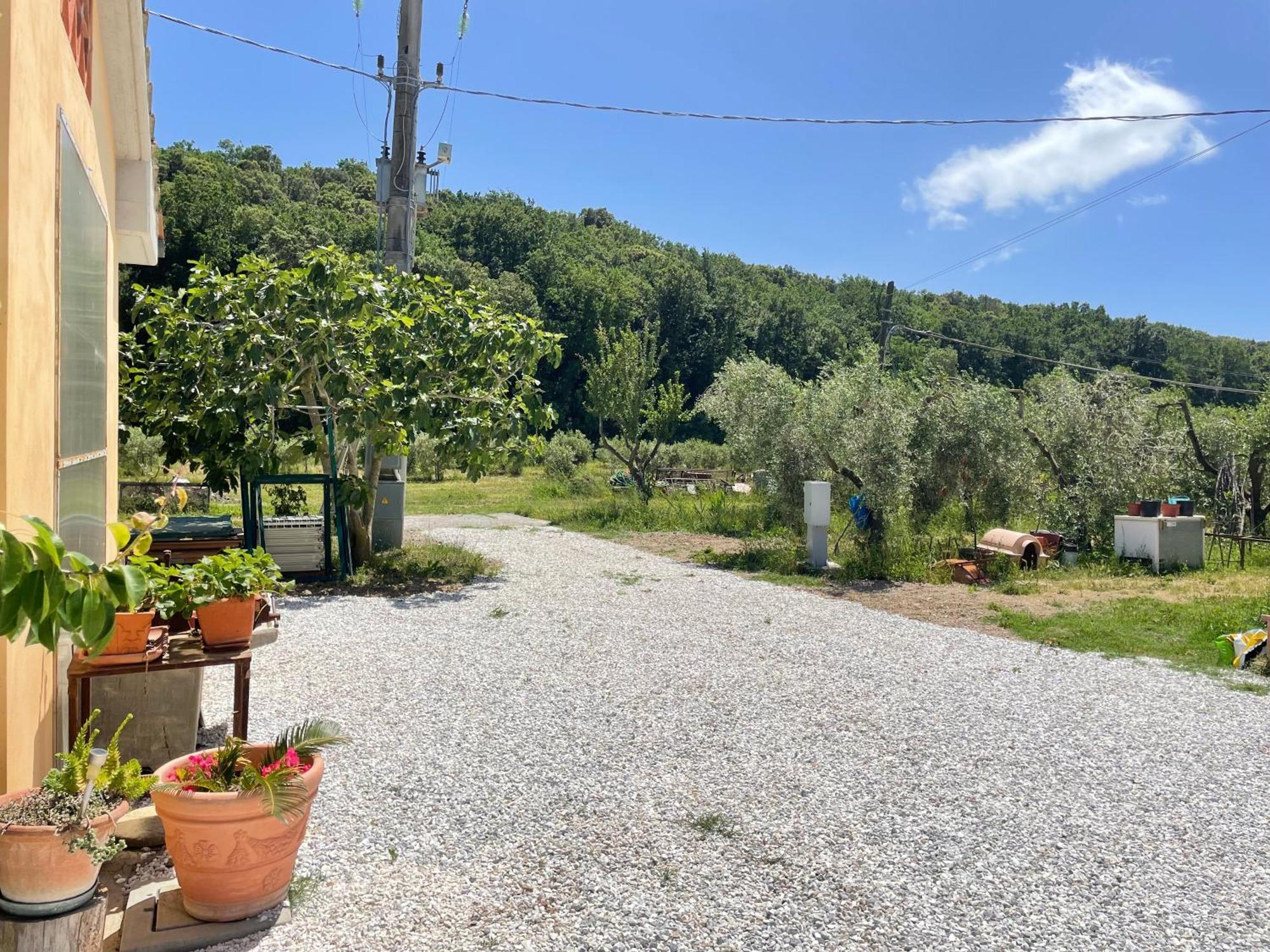 Il Leccio Agriturismo Fiorino Εξωτερικό φωτογραφία