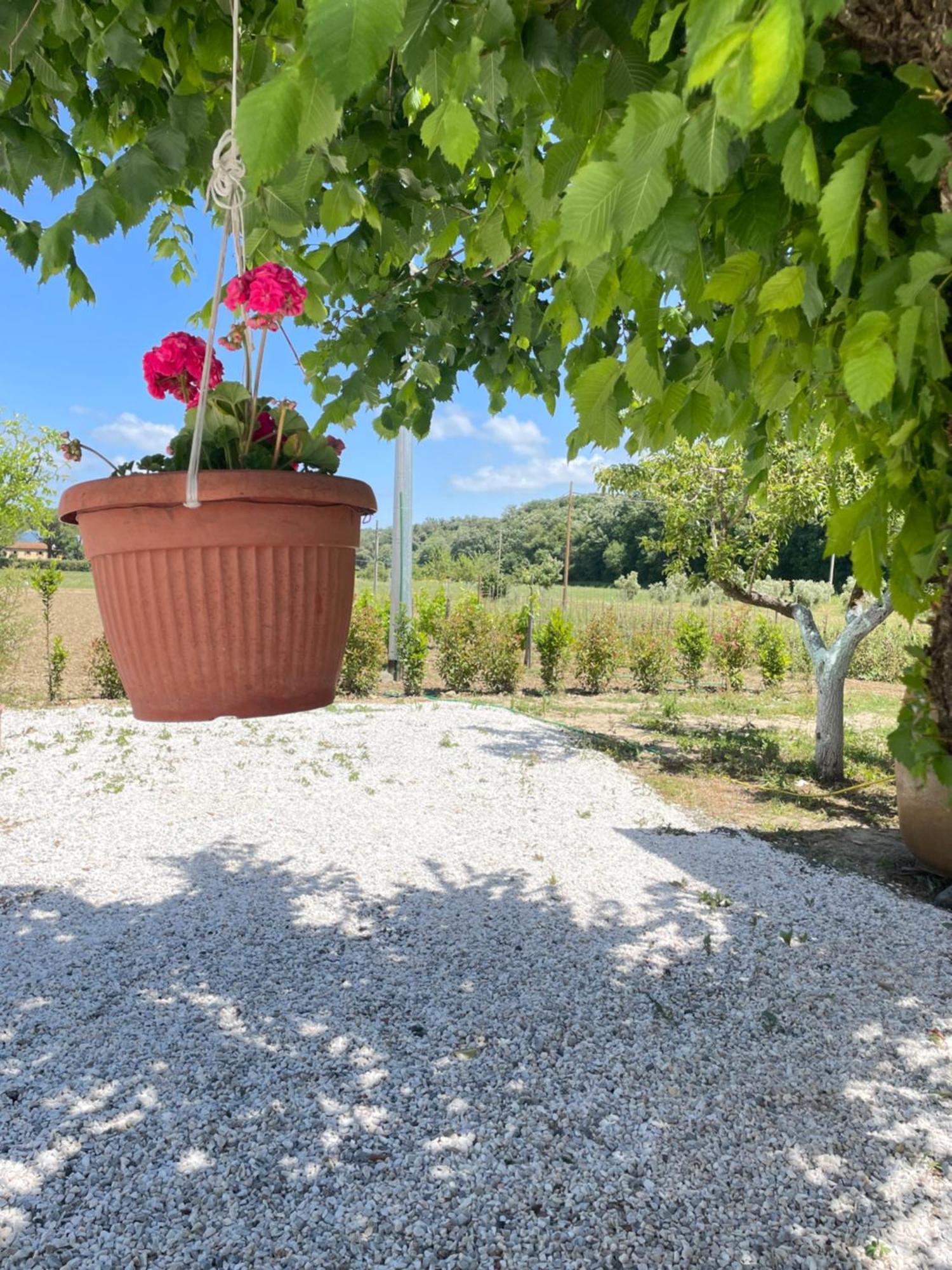 Il Leccio Agriturismo Fiorino Εξωτερικό φωτογραφία