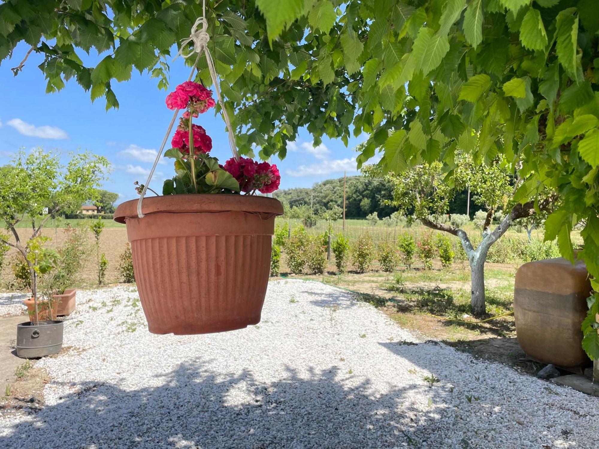 Il Leccio Agriturismo Fiorino Εξωτερικό φωτογραφία