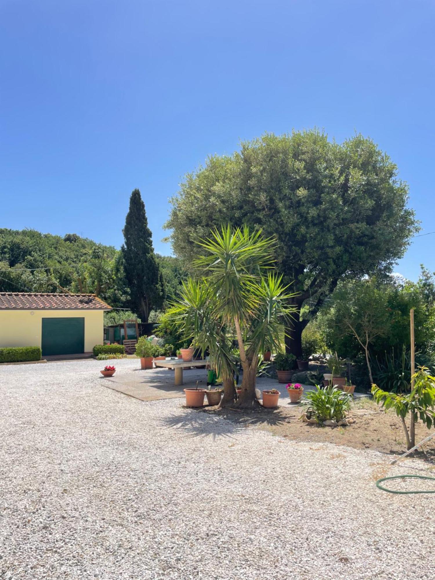 Il Leccio Agriturismo Fiorino Εξωτερικό φωτογραφία