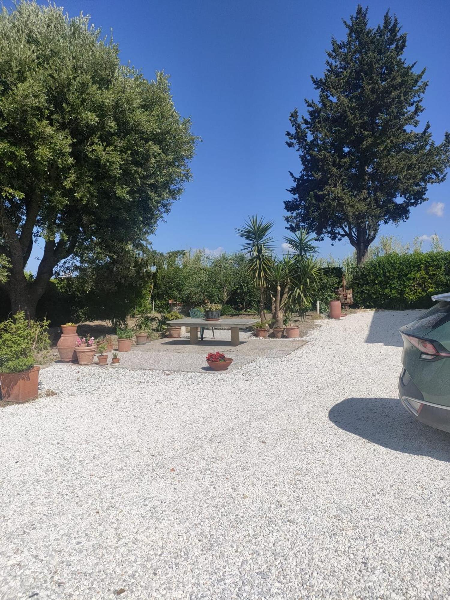 Il Leccio Agriturismo Fiorino Εξωτερικό φωτογραφία