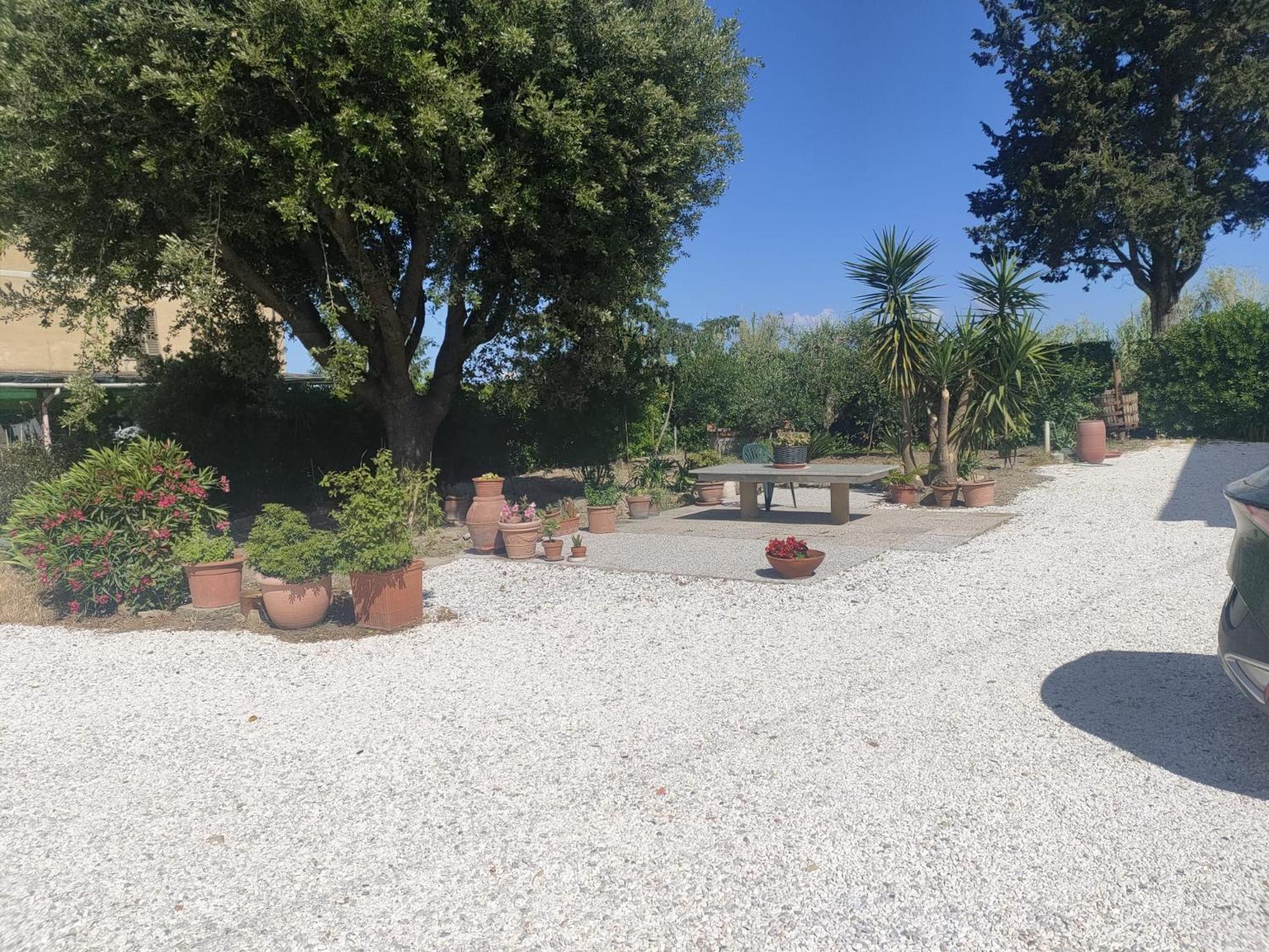 Il Leccio Agriturismo Fiorino Εξωτερικό φωτογραφία
