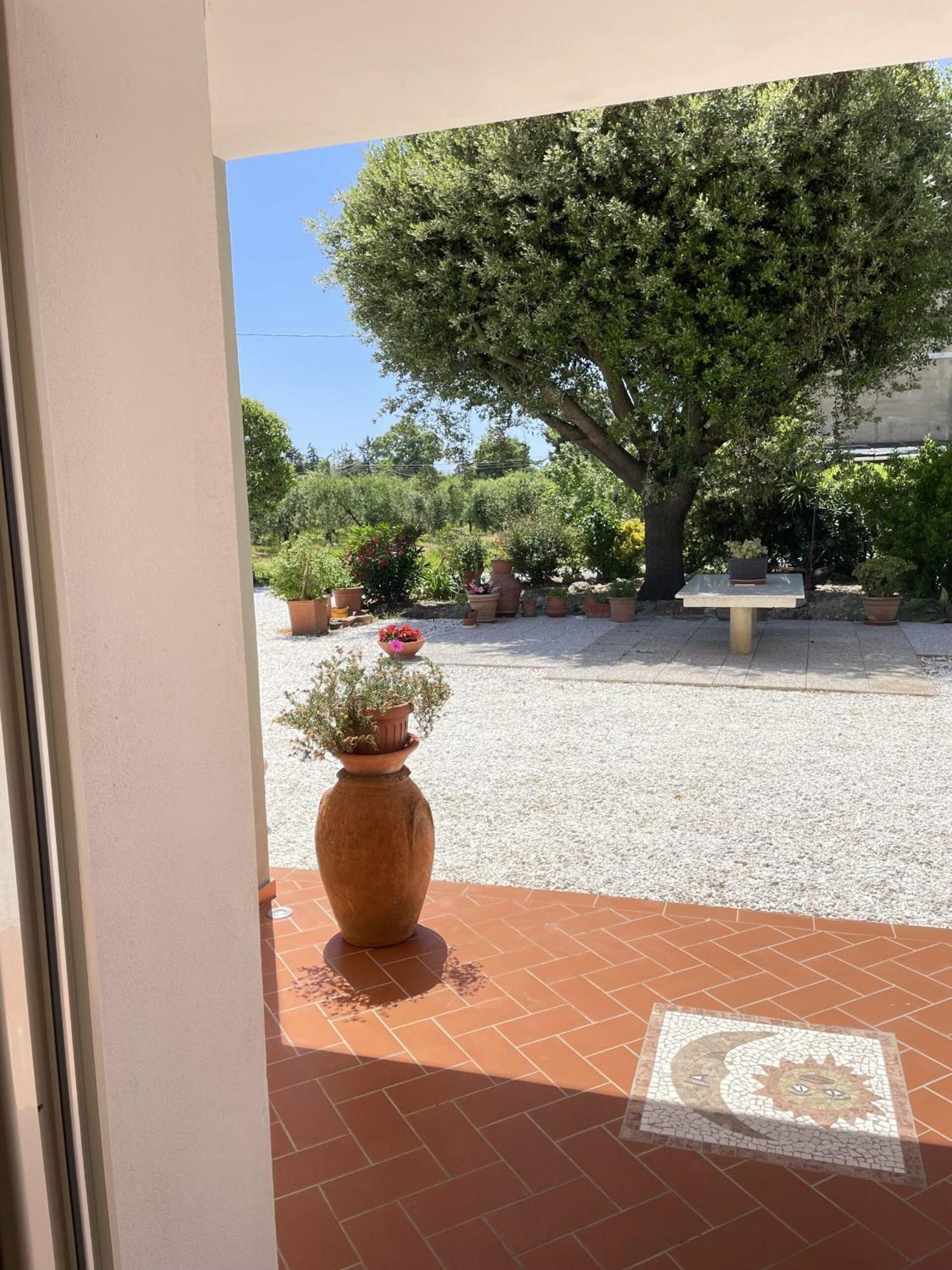 Il Leccio Agriturismo Fiorino Εξωτερικό φωτογραφία